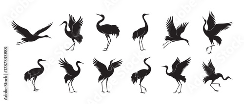 Crane bird silhouettes collection, elegant heron poses, flying and standing birds, wildlife illustration, nature animal design, graceful bird vector art, black silhouette