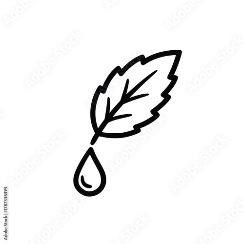 Leaf with Drop Natural Essence and Plant Extract Illustration.