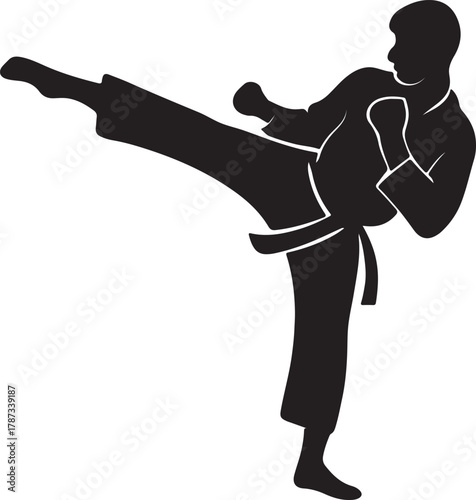 Martial arts practitioner performing a dynamic side kick in a striking silhouette out line vector pose on a white background