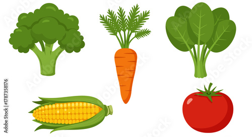 Collection of Fresh Vegetables Broccoli Carrot Corn Spinach Tomato.