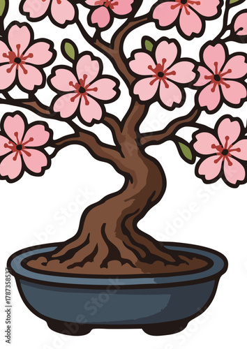 Sakura Bonsai Tree