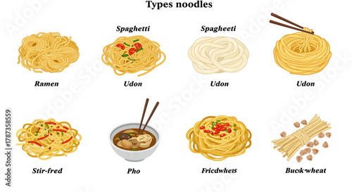 Collection of Various Types of Noodles Illustrated.