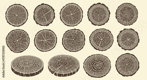 Wood Cuts Set. Tree Rings Vector. Cross Section Tree Trunk. Aged Round Log Slices.