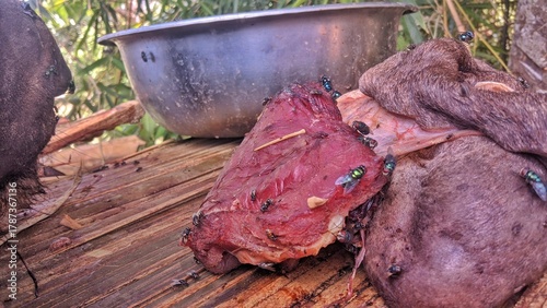 Close-up shot capturing discarded raw meat undergoing rapid decomposition outdoors, infested with numerous green flies and white maggots, highlighting unsanitary conditions and natural decay