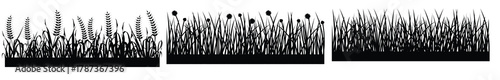 grass vector illustration