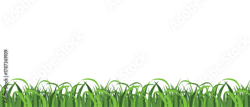 green grass lawn border or meadow vector illustration set .