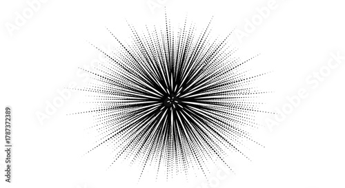Black and White Abstract Burst Design with Radial Lines