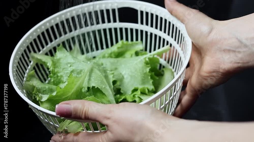 Women's hands washing lettuce leaves under running water in slow motion. Concept of healthy eating and organic farm products. Slow motion 100 hp.