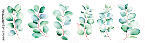 Watercolor eucalyptus branches leaves illustration, Wedding frame elements collection. Elegant foliage design for wedding, card, invitation, greeting