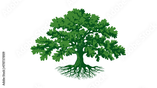 Strong green oak tree illustration with roots and lush foliage, symbolizing nature, growth, stability, and life