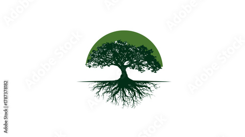 Stylized green tree with exposed roots and lush canopy against a semi-circular background, symbolizing nature, growth, and life.