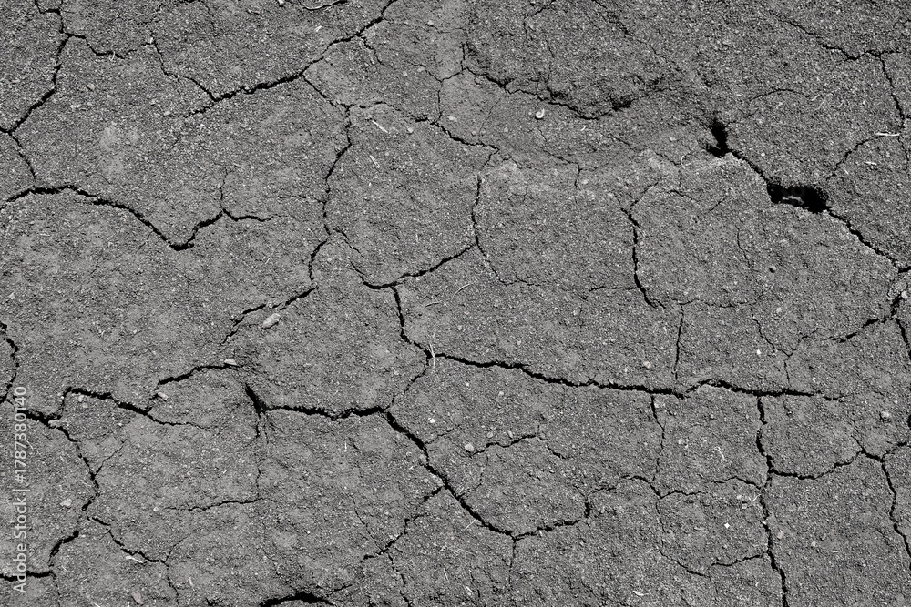 Fototapeta premium Wall texture soil dry crack pattern of drought lack of water of nature brown old broken background.