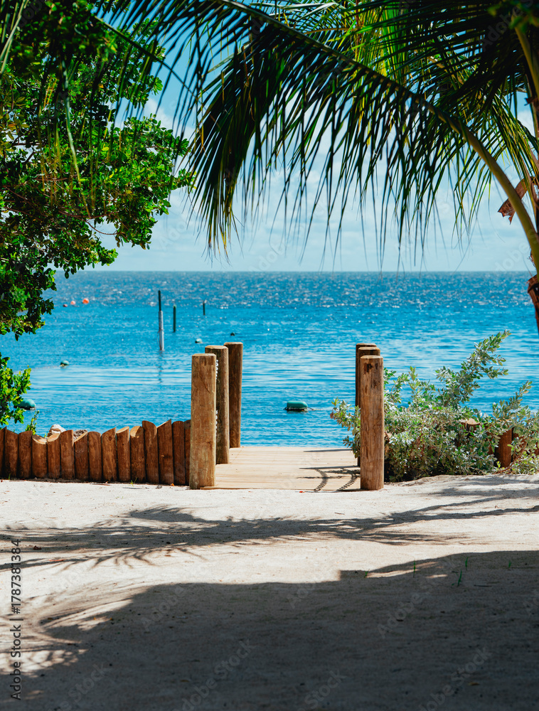 Fototapeta premium tropical beach with palm trees pier