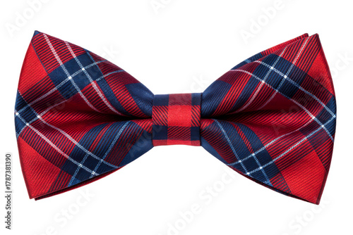 Plaid Bow Tie Accessory