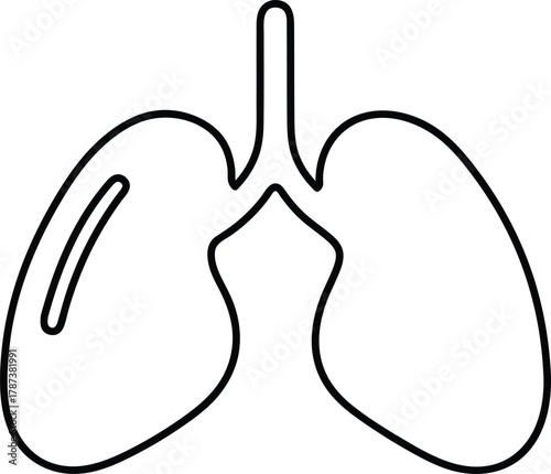 Lungs Outline on Transparent Background Vector Illustration Respiratory System Health Care Breathing Anatomy Lung Pulmonology Organ Biology Medical