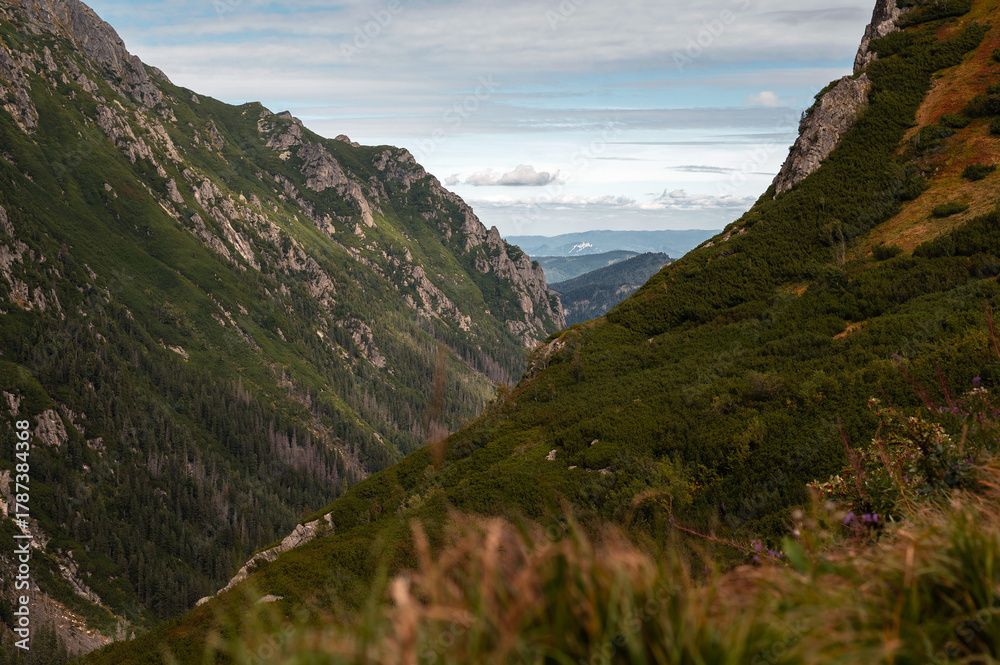 Obraz premium Scenic mountain valley view. High Tatras, Poland. Zakopane