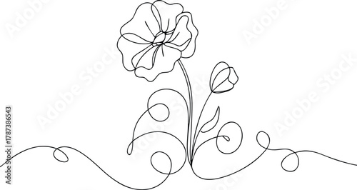 Single line drawing of poppy flower and bud with swirls