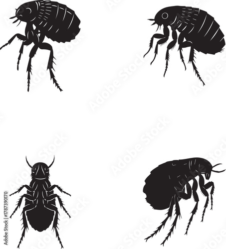 Flea Silhouette Set – Parasitic Insect Vector Illustrations for Entomology, Pest Control, and Educational Design Projects