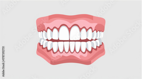 A clean, simple illustration of a complete set of upper and lower dentition set within a stylized pink gum base. The teeth are uniformly white and perfectly aligned, showing a standard occlusion 