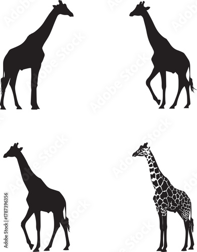 Giraffe Silhouette Set with Pattern Variation – Wildlife Vector Icons for Nature, Education, and Safari-Themed Design