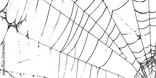 Papier peint Spiderweb with intricate patterns in close up view