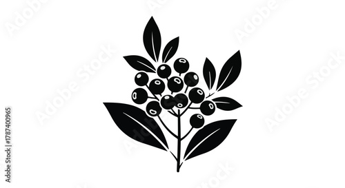 Stylized black silhouette of berries and leaves on a white background