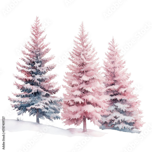 Three snow covered trees on transparent background