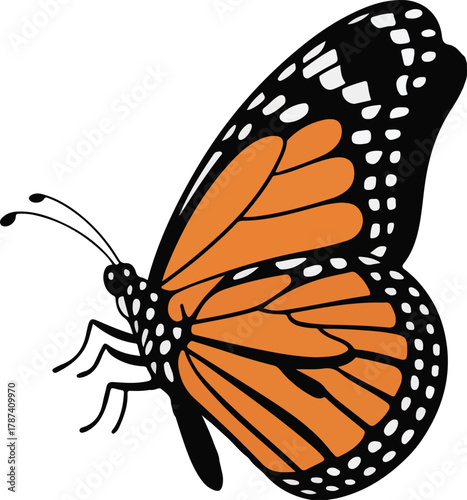 Monarch butterfly vector illustration with vibrant orange wings and black markings on a dark background