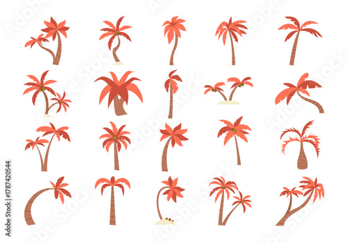 Palm Tree Illustration Element