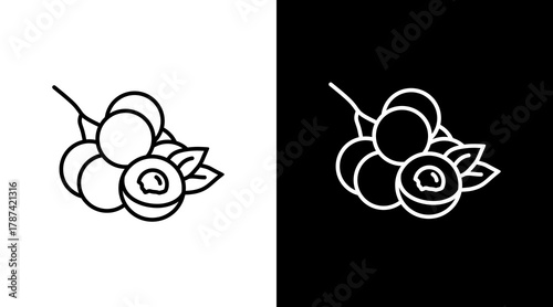 Longan  White Icon Set Design