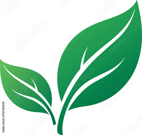 Set Of Eco Friendly Icons. Ecologic food stamps. Organic natural food labels.