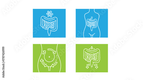 Digestive System Health Icons Set: Gut Anatomy, Microbiome, and Digestion Process Line Art Vector Illustration