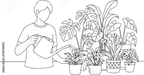 Person Watering Houseplants Line Art Illustration