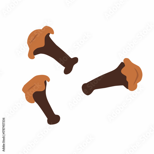 Clove in Flat Hand-Drawn Style for Spice and Herbal Illustration