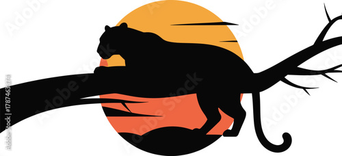 The silhouette of a leopard, Panthera pardus, during sunset lying in a tree, tail hanging down 