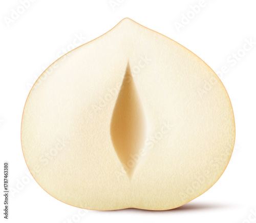 Half of a hazelnut isolated on a white background. Hazelnut in cross section. Hazelnut kernels are ripe and tasty, a healthy treat, a source of protein. Realistic 3d vector illustration.