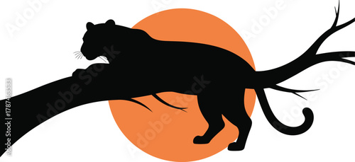 The silhouette of a leopard, Panthera pardus, during sunset lying in a tree, tail hanging down 