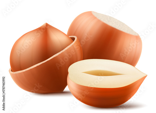 Set of realistic hazelnuts. Whole and half hazelnut isolated on white background. Peeled and unpeeled nuts. Hazelnut kernels are ripe and tasty, a source of protein. 3d vector illustration.