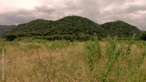 Dong Payayen, Khao Yai Thailand