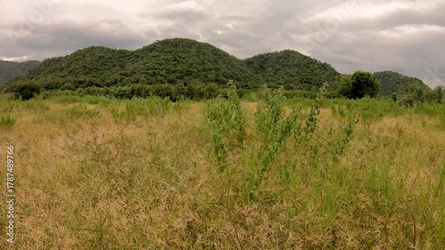 Dong Payayen, Khao Yai Thailand