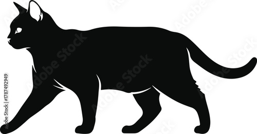 American Shorthair Cat Silhouette Sitting Vector Pet Illustration