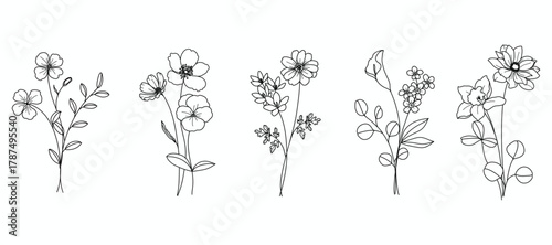 minimal line flower and botanical graphic sketch drawing, trendy tiny tattoo design, floral elements vector illustration