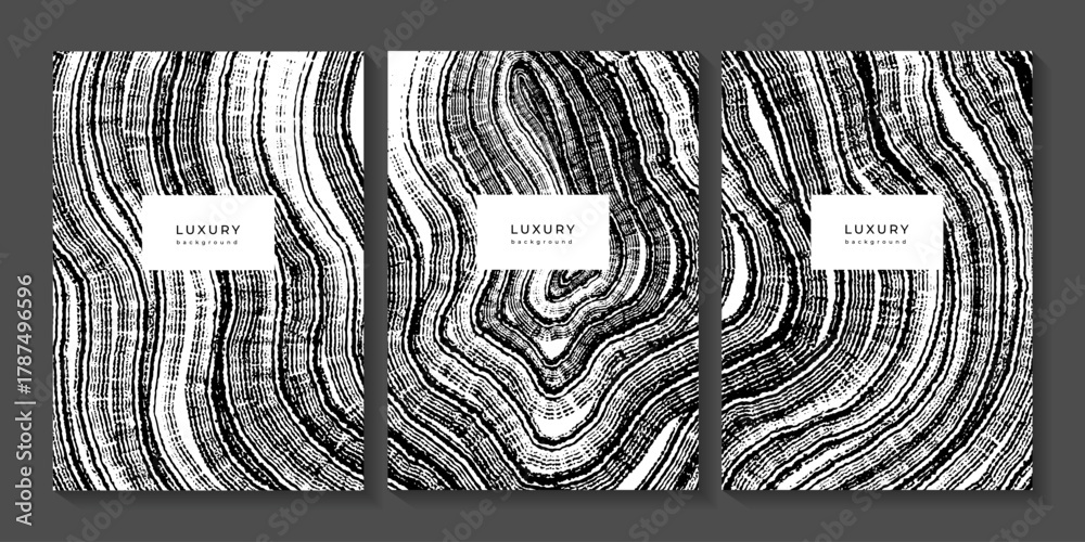 Fototapeta premium Set of black and white templates with wooden stump texture. Collection of backgrounds with wood imprint. Annual tree rings. Organic eco background. Concentric circles. Templates for business cards
