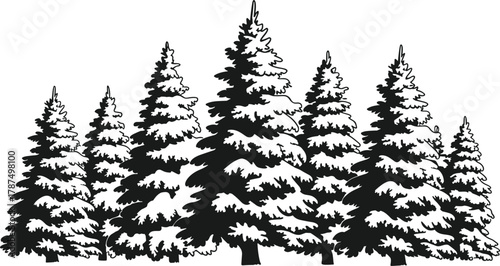 Winter forest evergreen pine trees silhouette covered in snow, black and white illustration, holiday season nature landscape vector art design