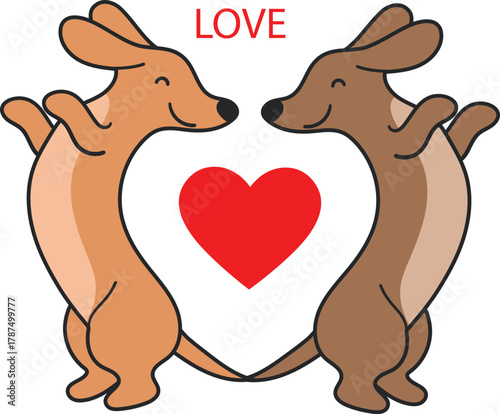 Cute kangaroo couple with heart illustration