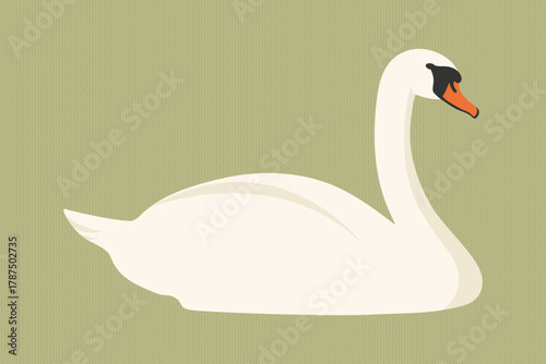 Graceful swan bird on green background. Vector illustration