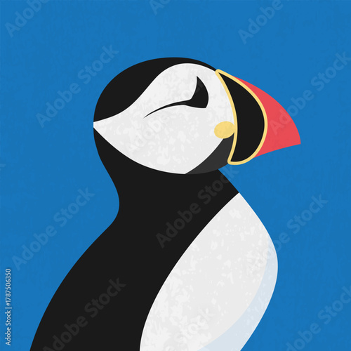 Atlantic puffin bird portrait. Vector illustration