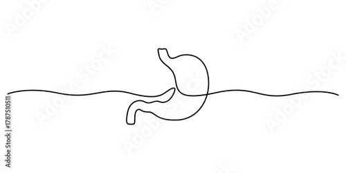 Human stomach continuous one line drawing. Minimalist single line art stomach organ vector illustration