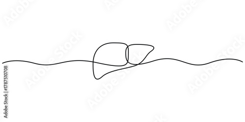 Human liver continuous one line drawing. Minimalist single line liver organ vector illustration