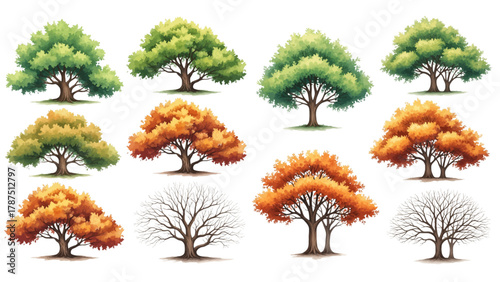 A collection of illustrated trees showcasing the four seasons, with green, yellow, and orange foliage, and bare winter branches.